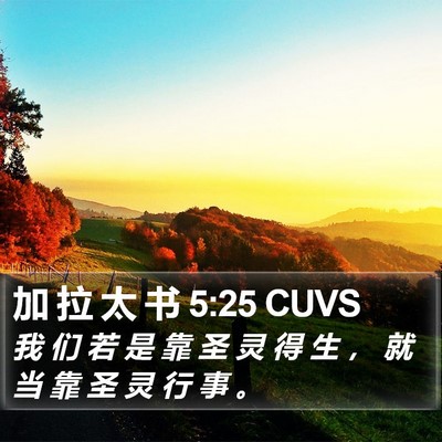 加 拉 太 书 5:25 CUVS Bible Verse Image