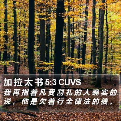 加 拉 太 书 5:3 CUVS Bible Verse Image