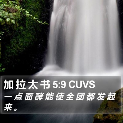 加 拉 太 书 5:9 CUVS Bible Verse Image