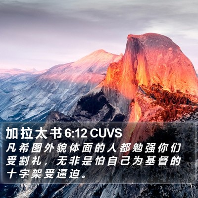 加 拉 太 书 6:12 CUVS Bible Verse Image