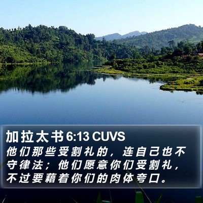 加 拉 太 书 6:13 CUVS Bible Verse Image