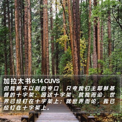加 拉 太 书 6:14 CUVS Bible Verse Image