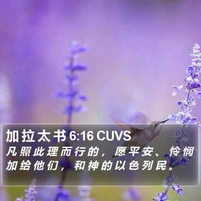 加 拉 太 书 6:16 CUVS Bible Verse Image