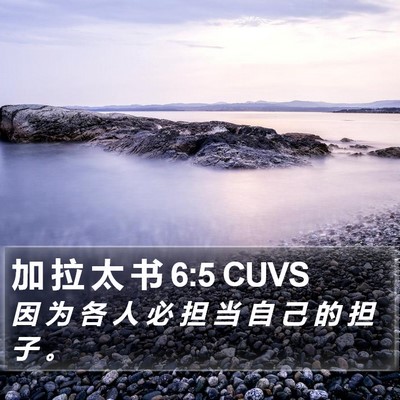 加 拉 太 书 6:5 CUVS Bible Verse Image