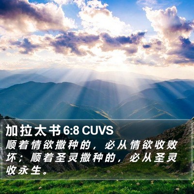 加 拉 太 书 6:8 CUVS Bible Verse Image