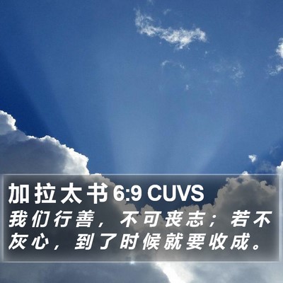 加 拉 太 书 6:9 CUVS Bible Verse Image