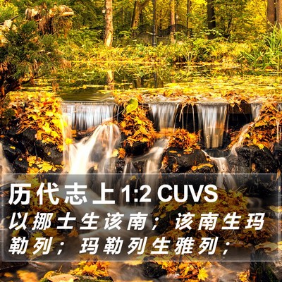 历 代 志 上 1:2 CUVS Bible Verse Image