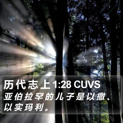 历 代 志 上 1:28 CUVS Bible Verse Image