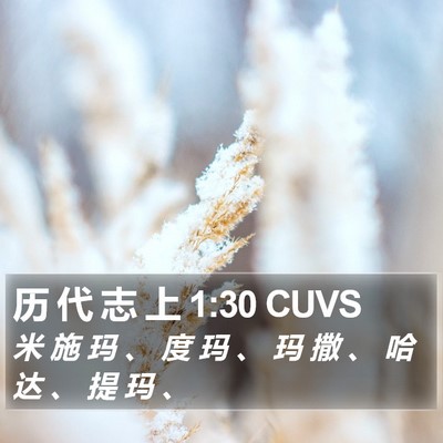 历 代 志 上 1:30 CUVS Bible Verse Image