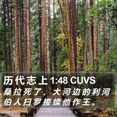 历 代 志 上 1:48 CUVS Bible Verse Image