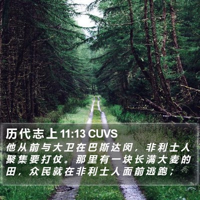 历 代 志 上 11:13 CUVS Bible Verse Image
