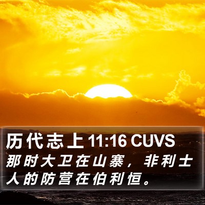 历 代 志 上 11:16 CUVS Bible Verse Image