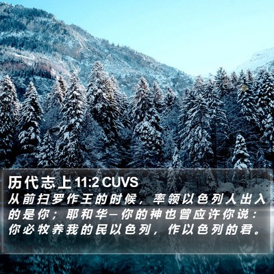 历 代 志 上 11:2 CUVS Bible Verse Image