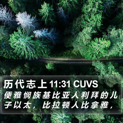 历 代 志 上 11:31 CUVS Bible Verse Image