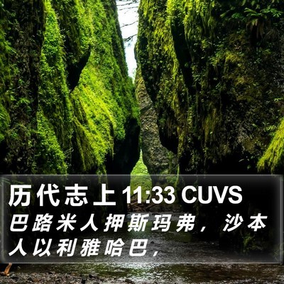 历 代 志 上 11:33 CUVS Bible Verse Image