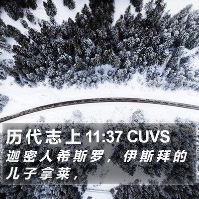 历 代 志 上 11:37 CUVS Bible Verse Image