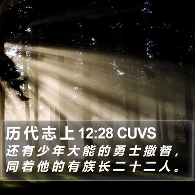 历 代 志 上 12:28 CUVS Bible Verse Image