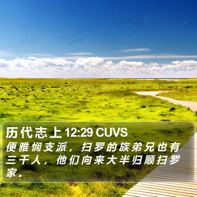 历 代 志 上 12:29 CUVS Bible Verse Image