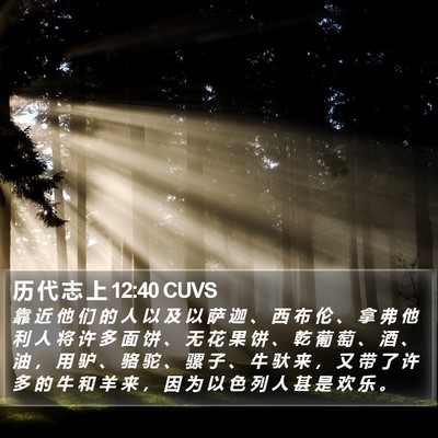 历 代 志 上 12:40 CUVS Bible Verse Image