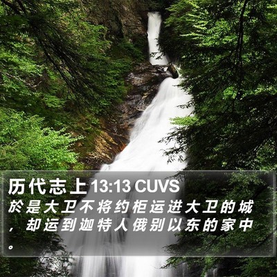 历 代 志 上 13:13 CUVS Bible Verse Image