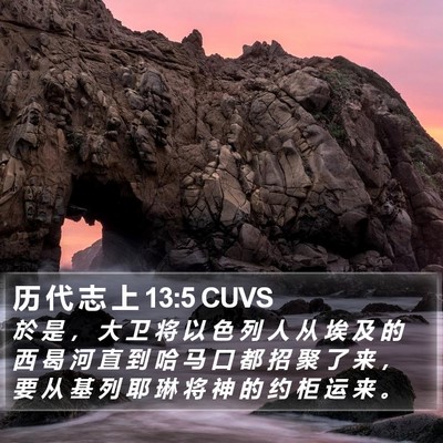 历 代 志 上 13:5 CUVS Bible Verse Image
