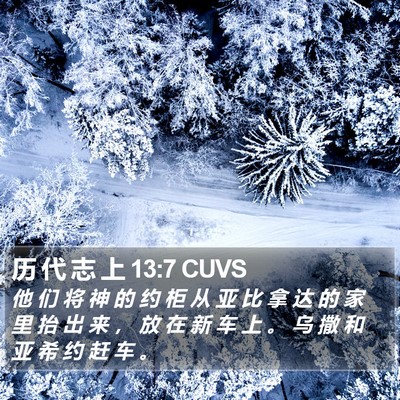 历 代 志 上 13:7 CUVS Bible Verse Image