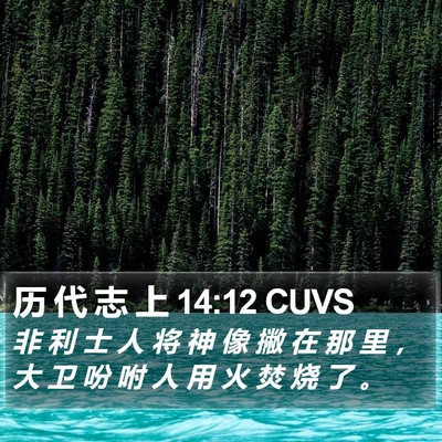 历 代 志 上 14:12 CUVS Bible Verse Image