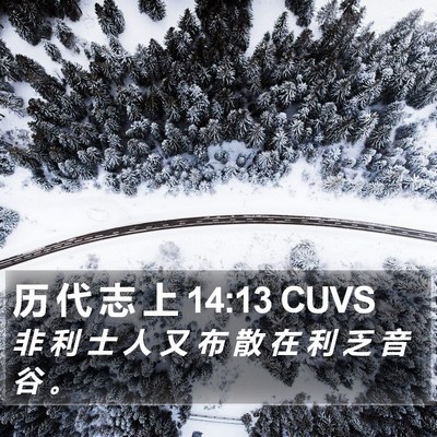 历 代 志 上 14:13 CUVS Bible Verse Image