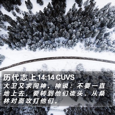 历 代 志 上 14:14 CUVS Bible Verse Image