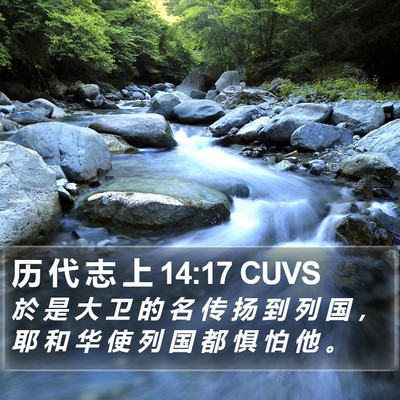历 代 志 上 14:17 CUVS Bible Verse Image
