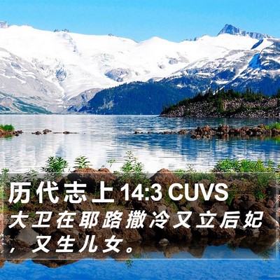 历 代 志 上 14:3 CUVS Bible Verse Image