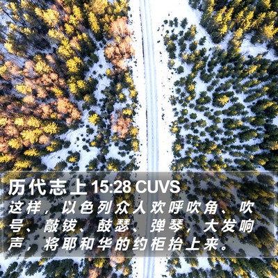 历 代 志 上 15:28 CUVS Bible Verse Image