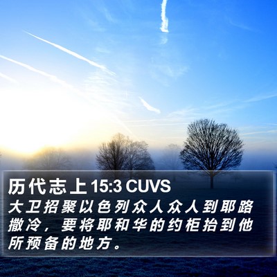 历 代 志 上 15:3 CUVS Bible Verse Image
