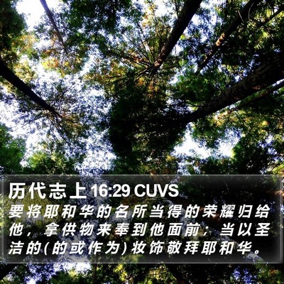 历 代 志 上 16:29 CUVS Bible Verse Image
