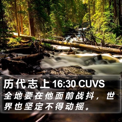 历 代 志 上 16:30 CUVS Bible Verse Image