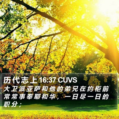 历 代 志 上 16:37 CUVS Bible Verse Image