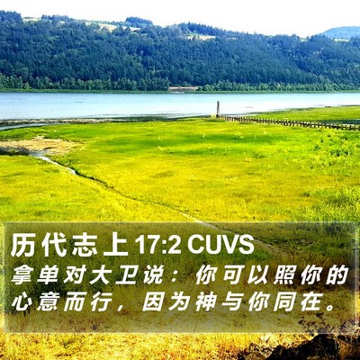 历 代 志 上 17:2 CUVS Bible Verse Image