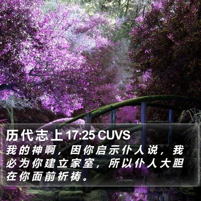 历 代 志 上 17:25 CUVS Bible Verse Image