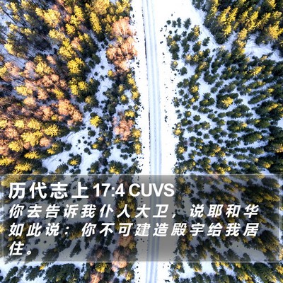 历 代 志 上 17:4 CUVS Bible Verse Image