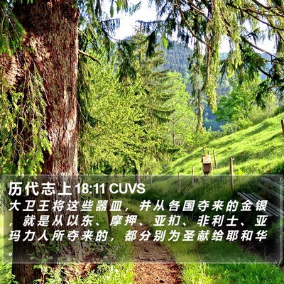 历 代 志 上 18:11 CUVS Bible Verse Image