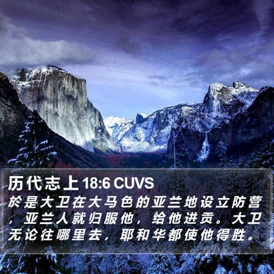 历 代 志 上 18:6 CUVS Bible Verse Image