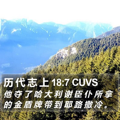 历 代 志 上 18:7 CUVS Bible Verse Image