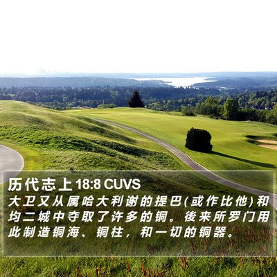 历 代 志 上 18:8 CUVS Bible Verse Image