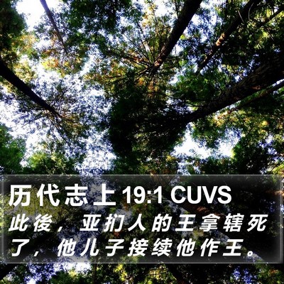 历 代 志 上 19:1 CUVS Bible Verse Image