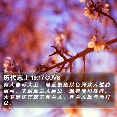 历 代 志 上 19:17 CUVS Bible Verse Image