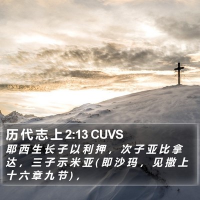 历 代 志 上 2:13 CUVS Bible Verse Image