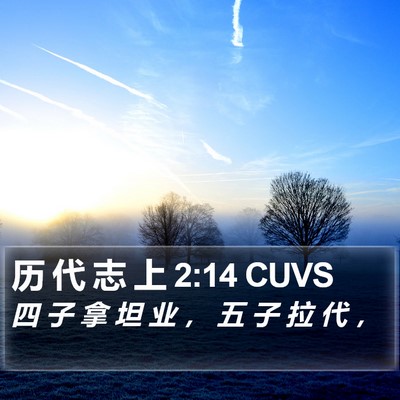 历 代 志 上 2:14 CUVS Bible Verse Image