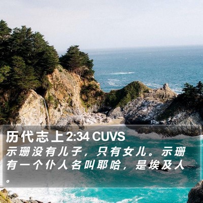 历 代 志 上 2:34 CUVS Bible Verse Image