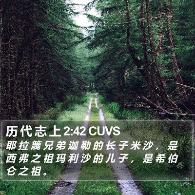 历 代 志 上 2:42 CUVS Bible Verse Image