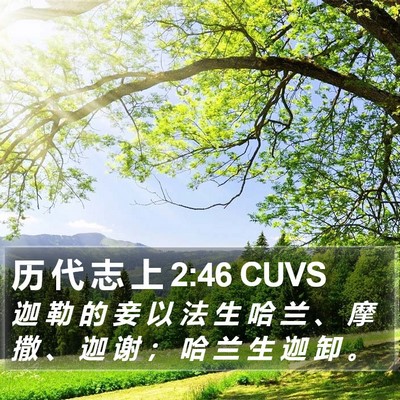 历 代 志 上 2:46 CUVS Bible Verse Image